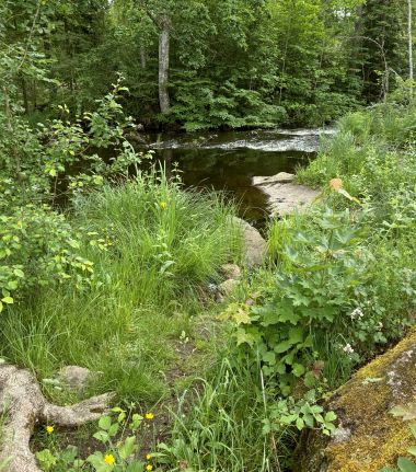 Stensjö
