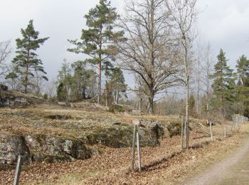 lhagen2012